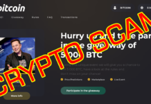 თაღლითობა კრიპტოვალუტით (Bitcoin & Ethereum)